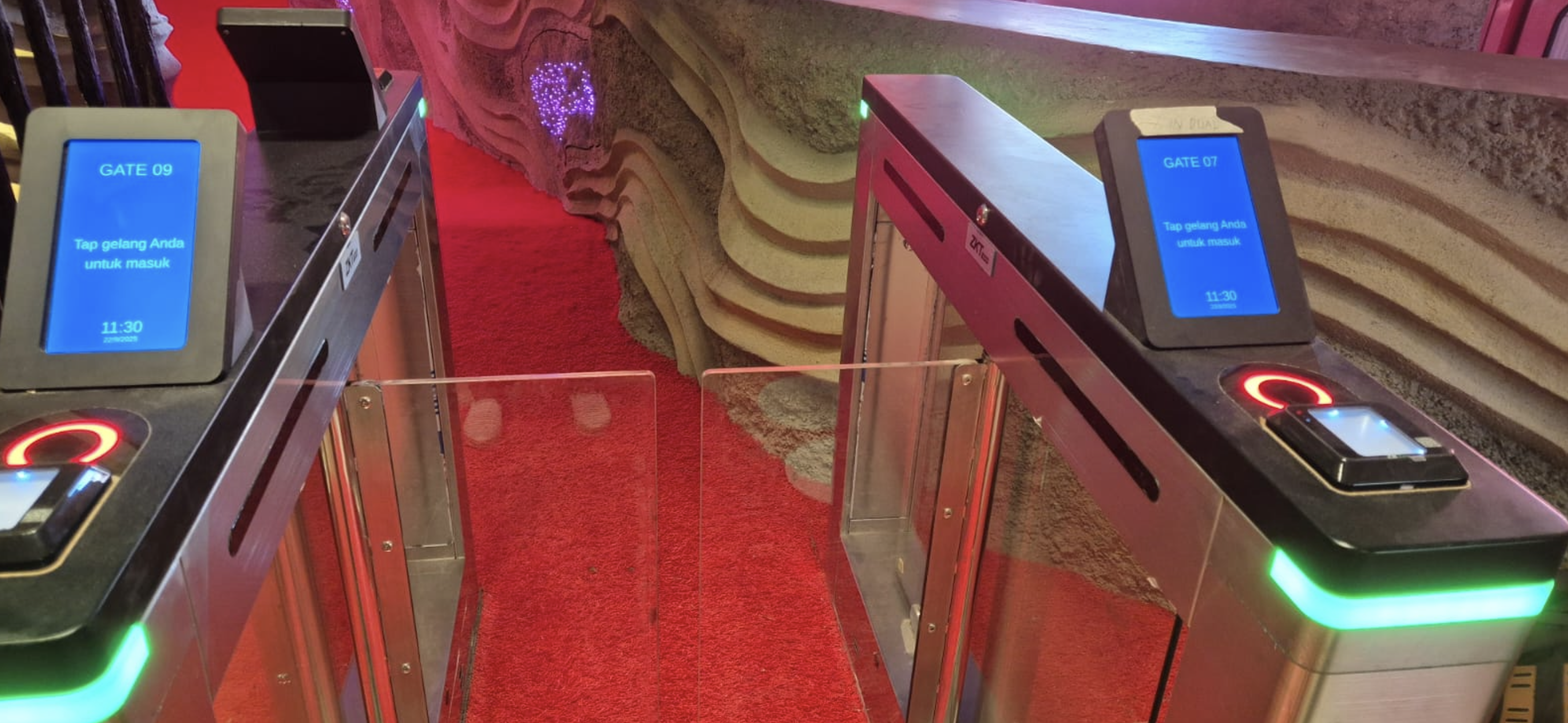 Automated Gate — Multi-Lane Setup